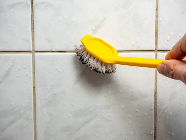 Best Certified Mold Removal  in Culpeper, VA