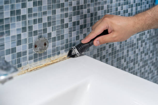 Best Professional Mold Removal  in Culpeper, VA