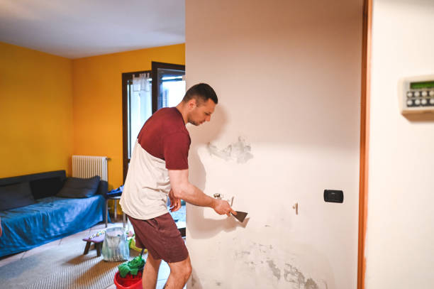 Best Professional Mold Removal  in Culpeper, VA
