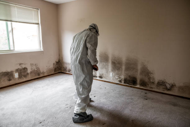 Best Crawl Space Mold Removal  in Culpeper, VA